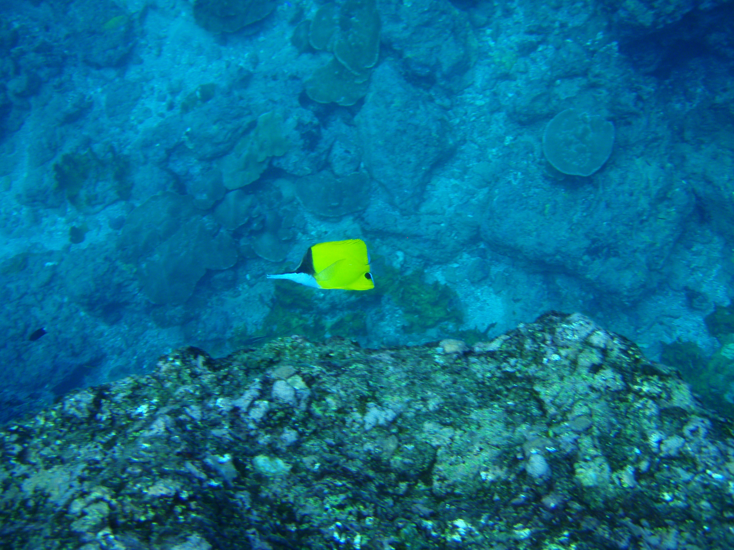 Hana Moe Noa Bay 012 Hana Moe Noa Bay 012