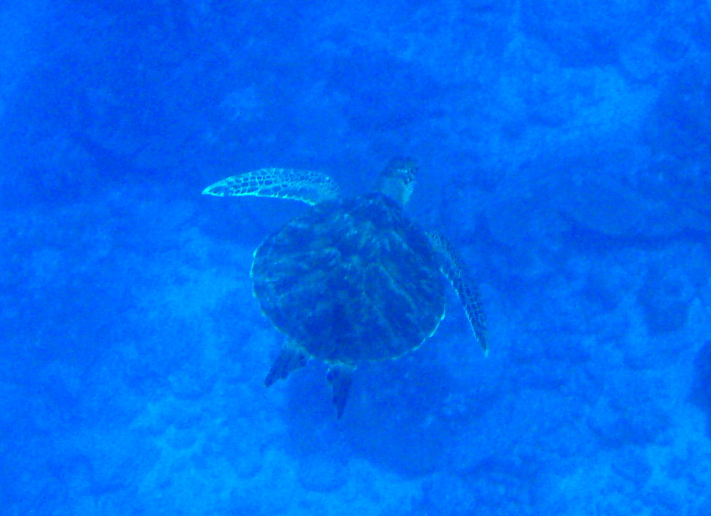 Hana Moe Noa Bay 104 Hana Moe Noa Bay 104