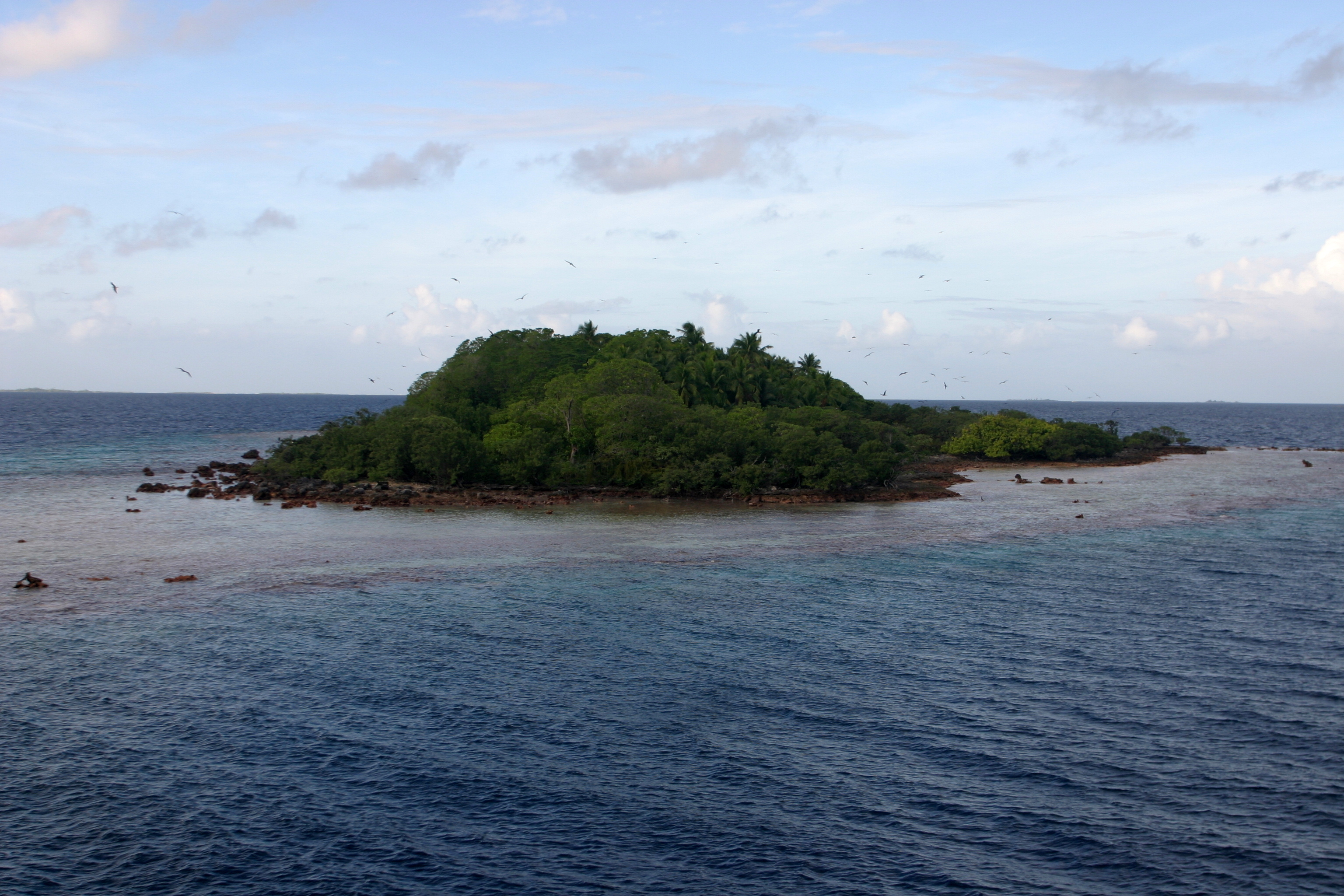 BirdIsland 005 BirdIsland 005