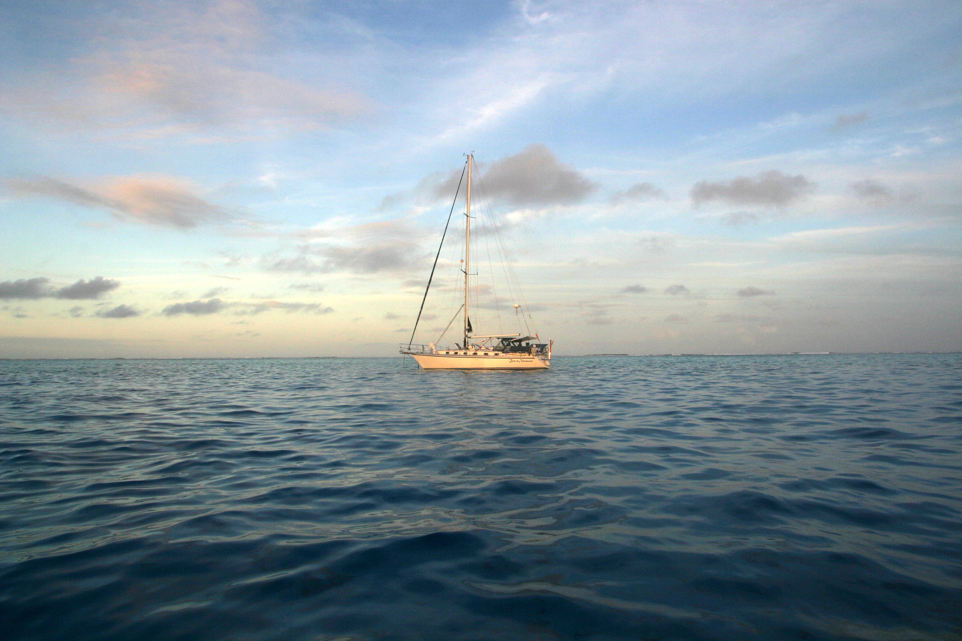BeveridgeReef 045 BeveridgeReef 045