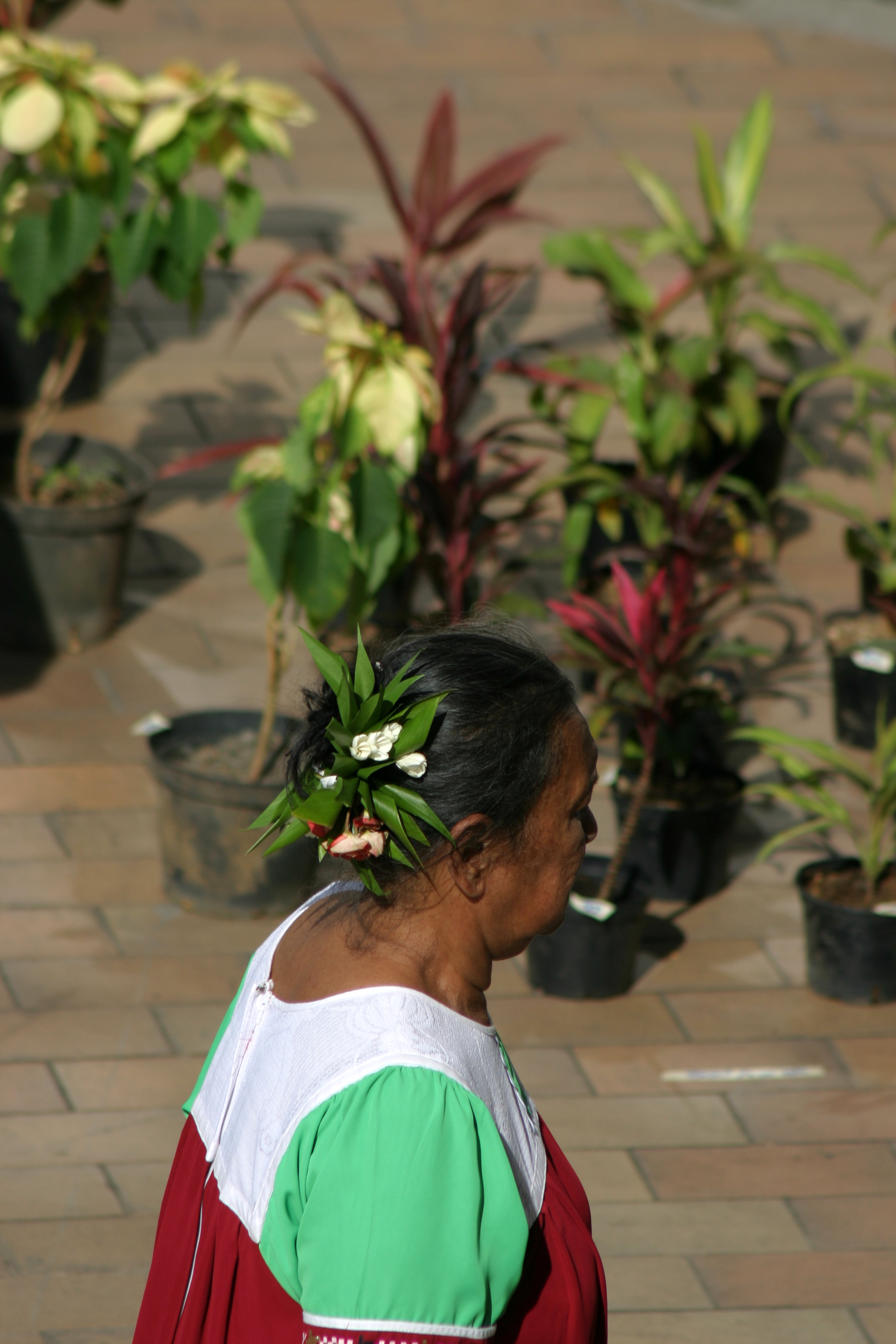 Tahiti 170 Tahiti 170