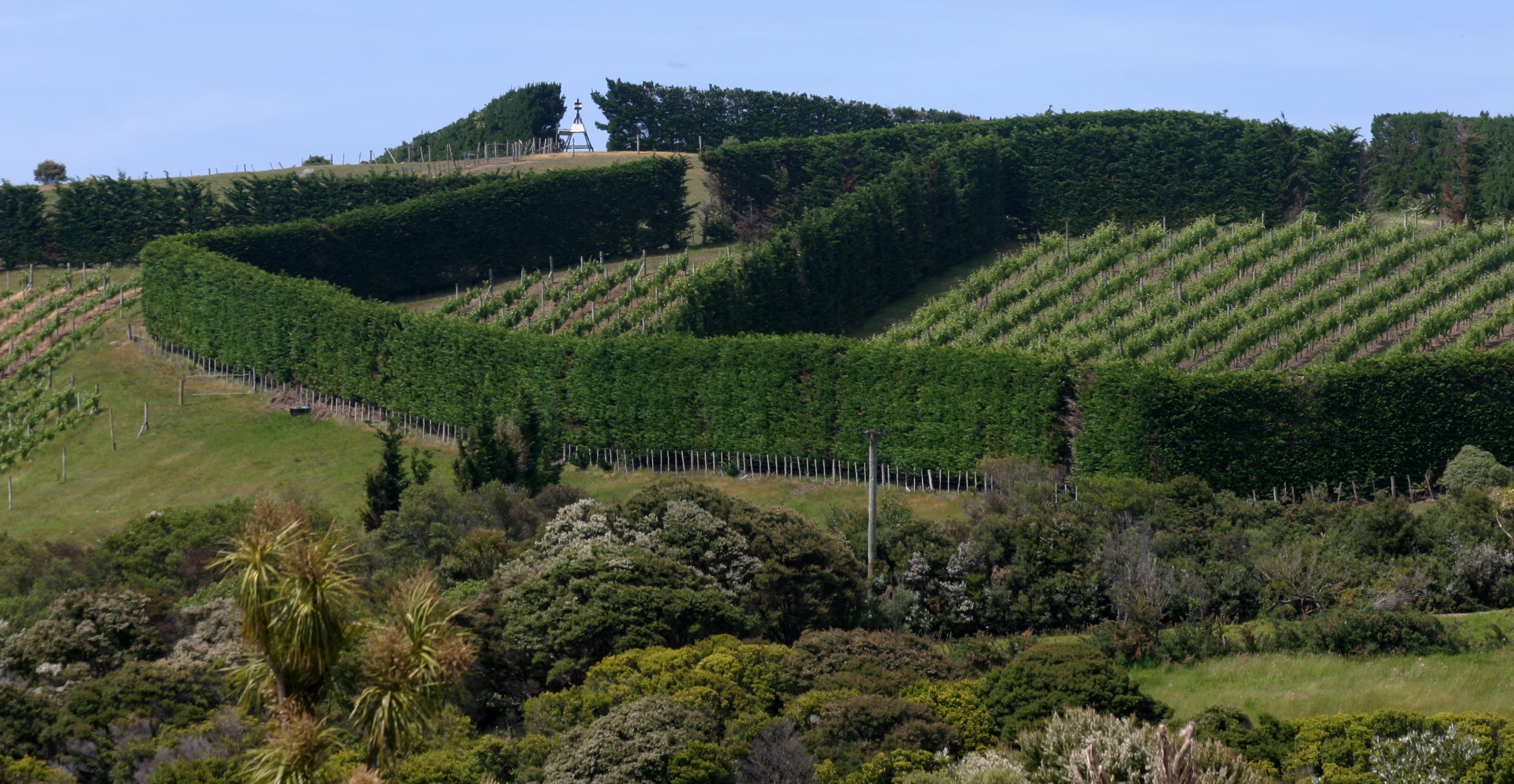 WaihekeTuesBC 062