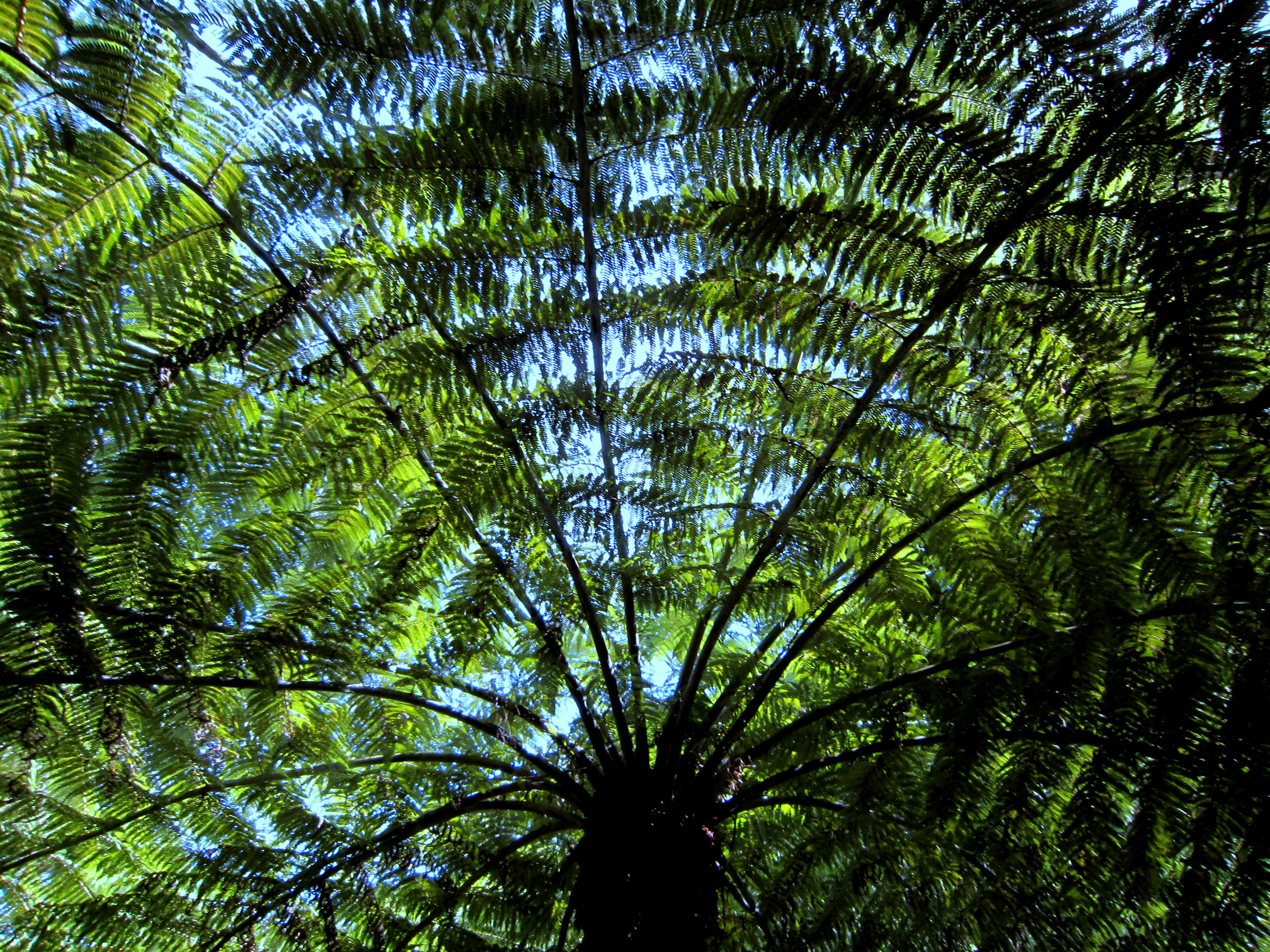 Great Barrier Island 061 Great Barrier Island 061