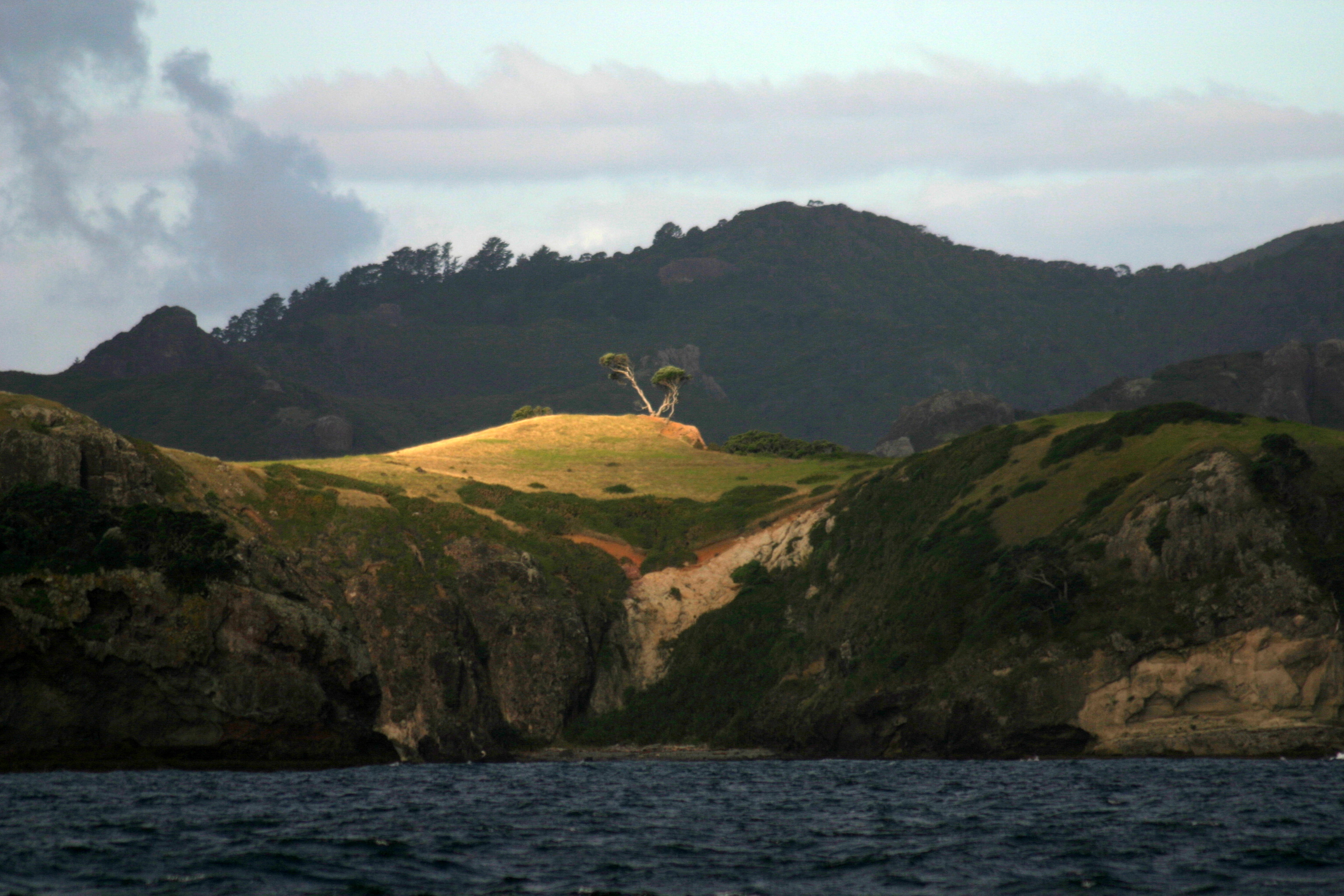 Great Barrier Island2 036 Great Barrier Island2 036