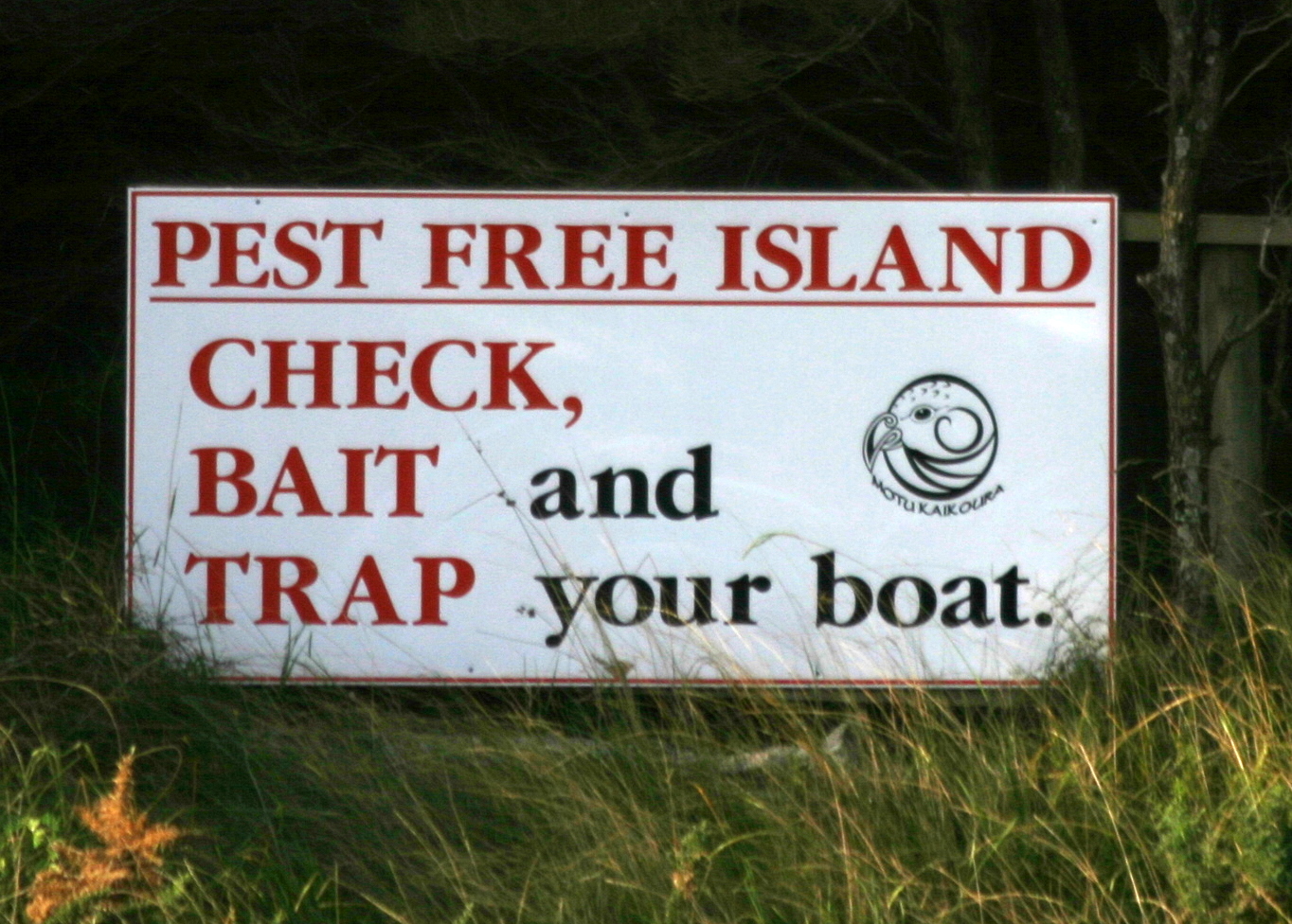 Great Barrier Island2 078 Great Barrier Island2 078